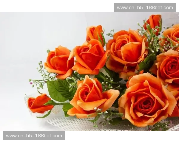 橙色郁金香与北欧红白的巅峰对弈:一场关于玫瑰、热血与荣耀的足球史诗